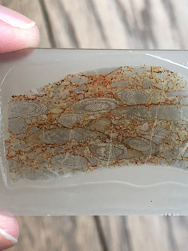 コンクリート、その源は